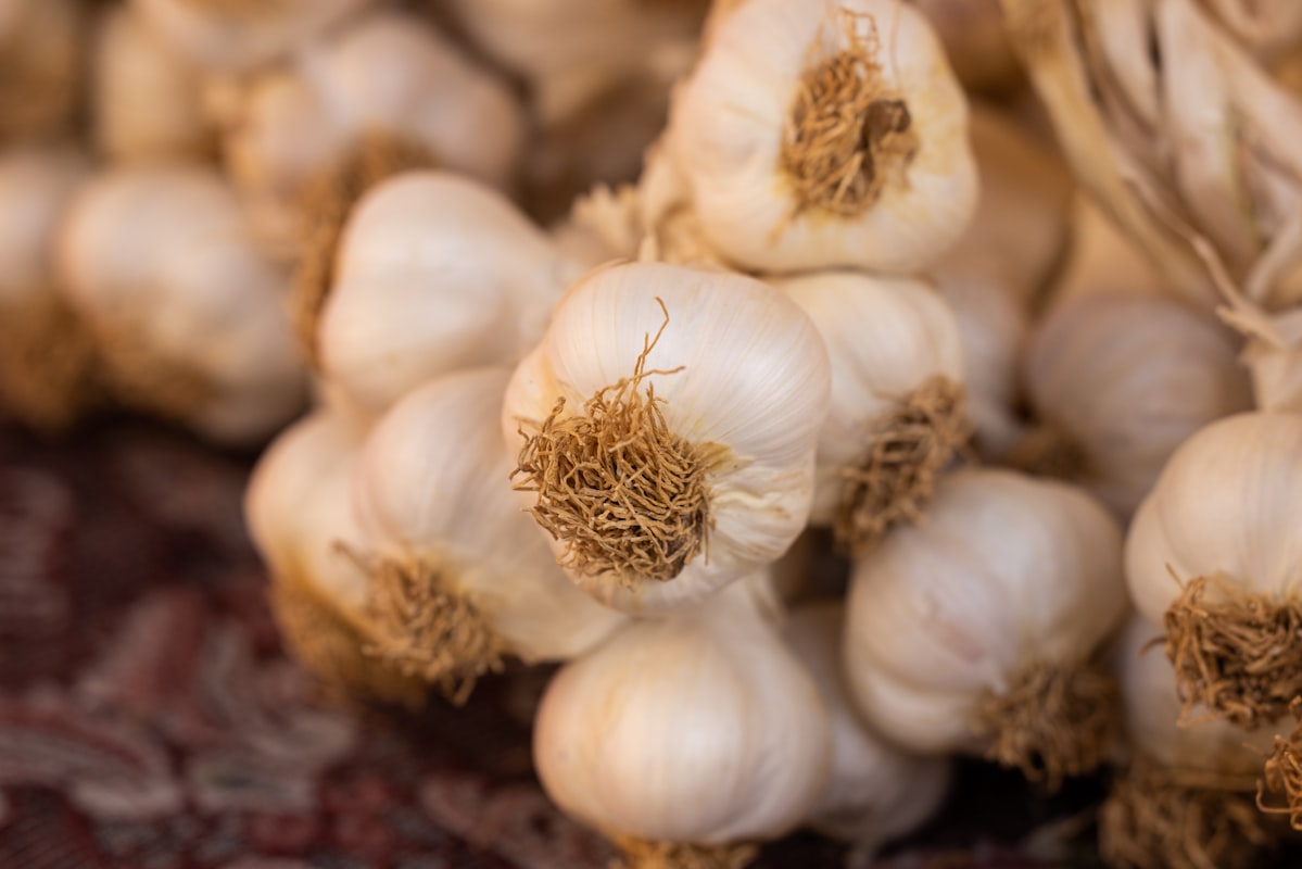Essicazione naturale dell'aglio